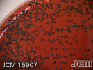 1757821969505.png
