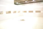 IMG_6236.jpeg