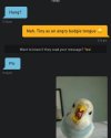 RANDOMJPG.jpg