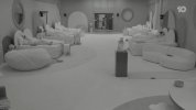 VS--BigBrother-NetworkTen-63’31”.jpg