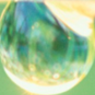 AM_092